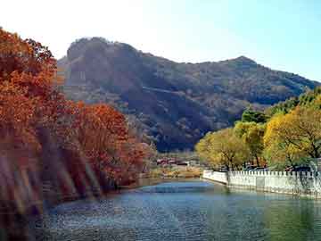 澳门天天彩期期精准平肖，泰安市泰师附小